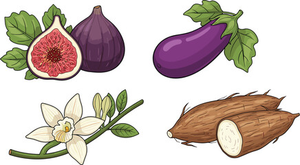 Collection of fresh tropical vegetables and fruits including fig, cassava, eggplant, vanilla flower