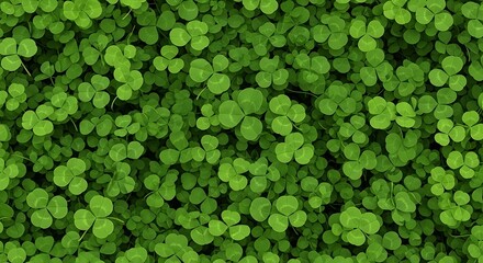 Lush Green Clover Field Texture.