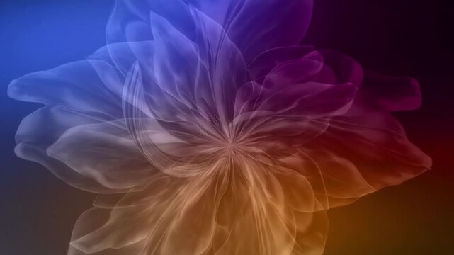 Radiant Bloomburst