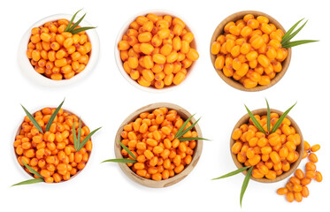 Sea buckthorn berries and green leaves isolated on white, set