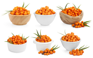 Sea buckthorn berries and green leaves isolated on white, set