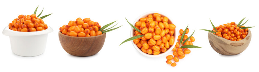Sea buckthorn berries and green leaves isolated on white, set