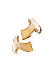 Half-cut mushroom showing interior on white background, fresh edible fungi and culinary ingredient concept