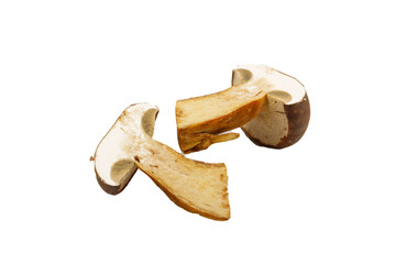 Half-cut mushroom showing interior on white background, fresh edible fungi and culinary ingredient concept