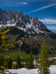 View of Hochk&ouml;nig with snow fields and forest. Beautiful snow-capped mountains of the Austrian Alps seen through evergreen pine trees &mdash; perfect harmony of sky, peaks, and forest.