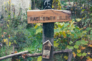 les racines en ville