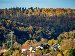 Hochspannungsmasten im herbstlich gefärbtem Mischwald