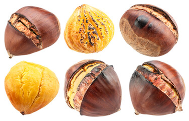 Set of roasted edible chestnuts on white background. File contains clipping paths.