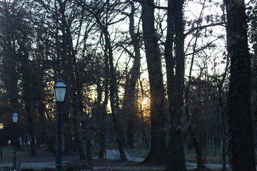 Vintage lantern and autumn leaves in the park. Beautiful sunset in park Maksimir, in Zagreb, Croatia.