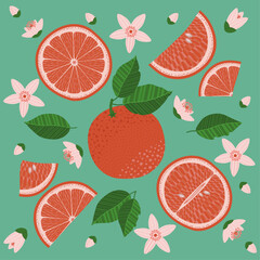 A decorative illustration showcasing grapefruits, grapefruit flowers, and leaves. A vibrant collection of citrus fruits suitable for invitations, greeting cards, covers, and banners. Hand-drawn art.