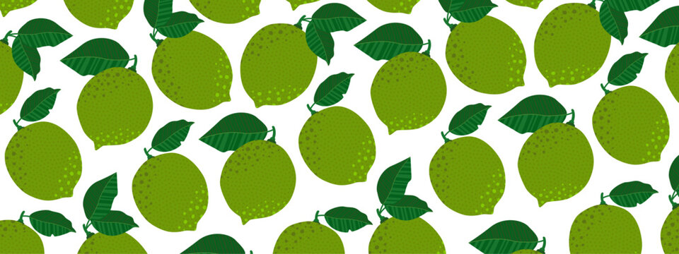 A vibrant citrus banner design on a white background with lime fruits and leaves. Ideal for summer sales, organic product ads, juice packaging, or web designs. Hand-drawn vector illustration.