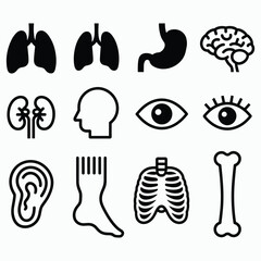 Collection of human anatomy icons vector graphics scalable eps medical healthcare organ illustrations