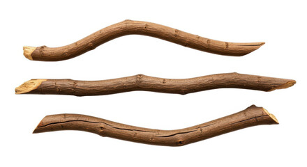 Three dry branches isolated on white background, showing the texture and shape