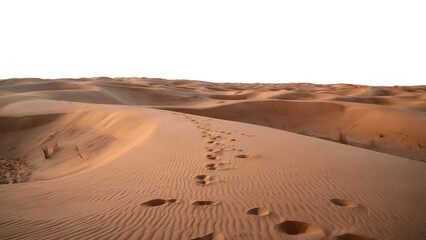 footprints across desert landscape under bright sky. Isolated on transparent background, png