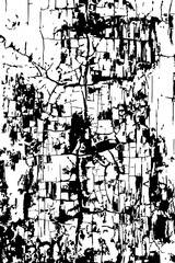 Fototapeta premium Deep irregular cracks form textured bark surface with natural fissures and layered structure.