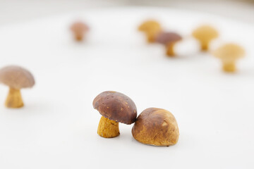 Isolated mushroom on white background, edible fungi, natural forest food and organic culinary concept