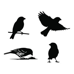 Four silhouette bird poses stationary perched flying and foraging capturing nature's graceful movements vector