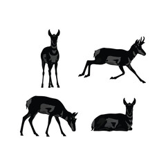 Silhouette collection four pronghorn antelopes diverse poses wildlife animals natural habitat nature scene vector