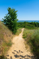 A narrow winding dirt path descends through green and dry grass and trees, leading the eye towards a panoramic view of a wide river and clear blue sky