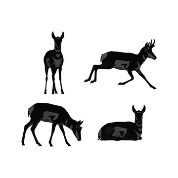 Silhouette collection four pronghorn antelopes diverse poses wildlife animals natural habitat nature scene vector