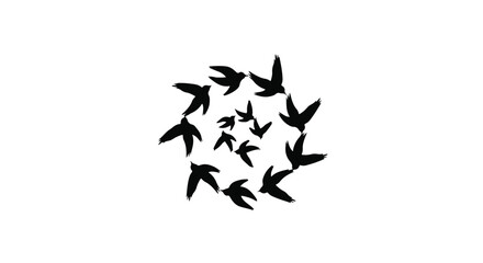 Naklejka premium Flock of birds flying in a circular formation against a white background.