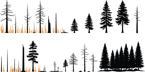 Wildfire forest comparison, burned vs healthy trees, environmental impact, nature destruction, forest recovery, ecosystem change, fire damage