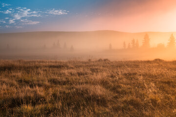 Krajobraz, Natura, Piękny widok, Góry, Mgła, Drzewa, Las, Landscape, Nature, Beautiful View, Mountains, Fog, Trees, Forest,