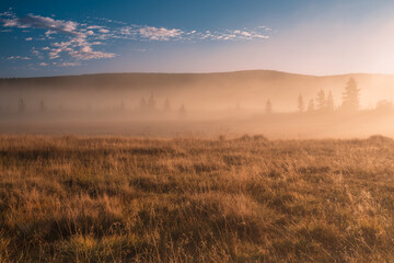 Krajobraz, Natura, Piękny widok, Góry, Mgła, Drzewa, Las, Landscape, Nature, Beautiful View, Mountains, Fog, Trees, Forest,