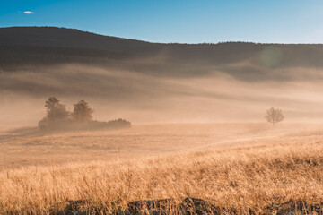 Obraz premium Krajobraz, Natura, Piękny widok, Góry, Mgła, Drzewa, Las, Landscape, Nature, Beautiful View, Mountains, Fog, Trees, Forest,