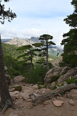 Bavella-Ospedale-Corsica