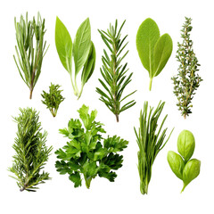 Naklejka premium Fresh herbs arranged on a white background for culinary purposes, showcasing a variety of plant types and colors