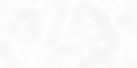 Abstract topography pattern seamless lines sea map modern design white background. Abstract digital topographic contour map concept space geometric strip grid line. Natural discovery of maps.	