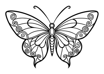 butterfly vector illustration