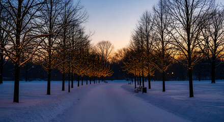 Winter Landscape: Snow-covered Path with Trees at Sunset. Serene Winter Scenery