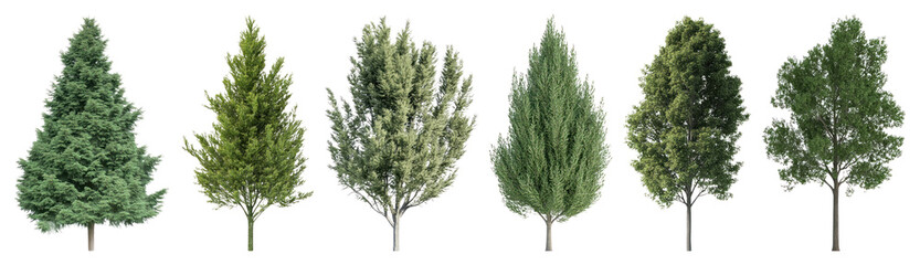 Obraz premium PNG Variety of lush evergreen trees, element set on transparent background