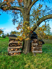 Brennholzlager im Herbst © focus finder