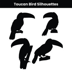 Toucan bundle bird vector illustration silhouettes isolated on white background featuring tropical exotic birds in various poses perfect for jungle wildlife design and nature themed vector artwork