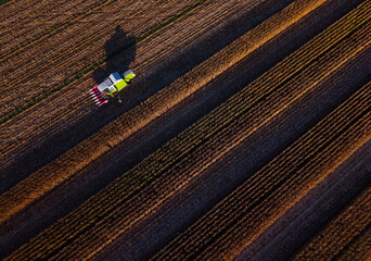 Harvester working in corn fields near Gallur, in the Ribera Alta del Ebro region. Aerial view from a drone. Zaragoza, Aragon, Spain, Europe.