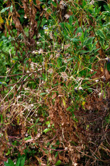 The Cycle of Seasons