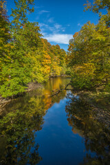 Calm forest river reflecting colorful autumn foliage.