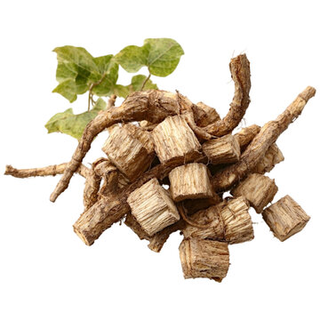 Kudzu root puerarin isolated natural remedy healthy ingredient traditional medicine plant