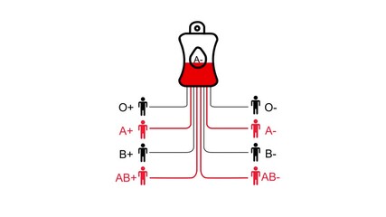 Blood type compatibility chart with A negative blood bag and compatible recipient icons Keywords: blood type, compatibility, chart, diagram, medical, healthcare, science, donation, transfusion, A
