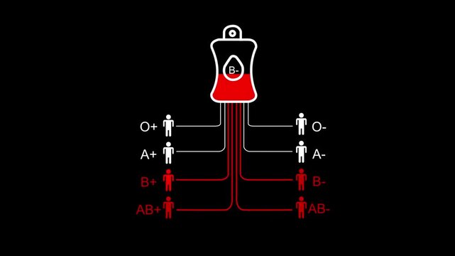 Blood type compatibility chart with B negative blood bag and compatible recipient icons Keywords: blood type, compatibility, chart, diagram, medical, healthcare, science, donation, transfusion, B