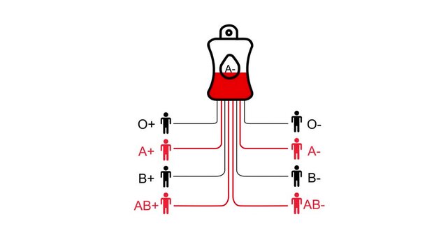 Blood type compatibility chart with A negative blood bag and compatible recipient icons Keywords: blood type, compatibility, chart, diagram, medical, healthcare, science, donation, transfusion, A