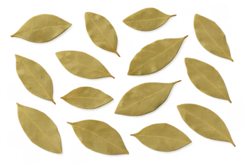 Dried bay leaves spice herb cooking ingredient