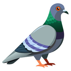 Vector illustration of a detailed pigeon bird icon scalable and versatile for design projects silhouette White background