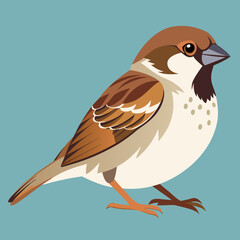Scalable vector illustration of a house sparrow bird feathered creature detailed flat design for graphics silhouette White background