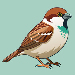 Charming house sparrow vector illustration scalable graphic icon for nature and wildlife projects silhouette White background