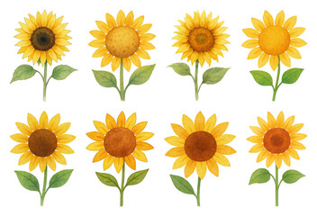 Vibrant watercolor sunflowers collection.