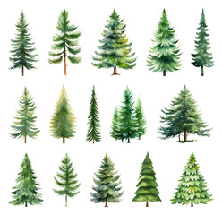 Obraz premium Watercolor evergreen trees collection.